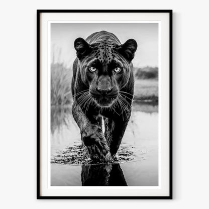 T'Challa