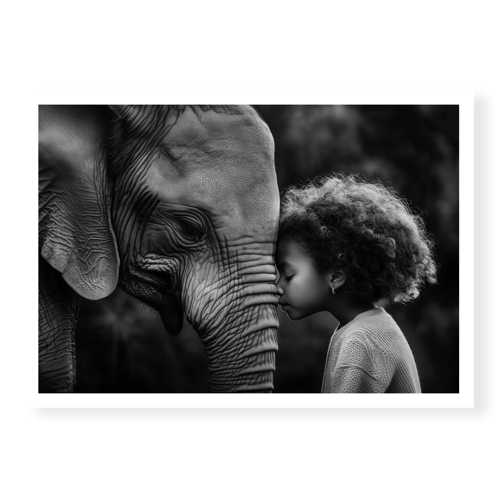 Close-up profile of an elephant and a young girl with curly hair touching foreheads, black and white art print titled A Sacred Moment