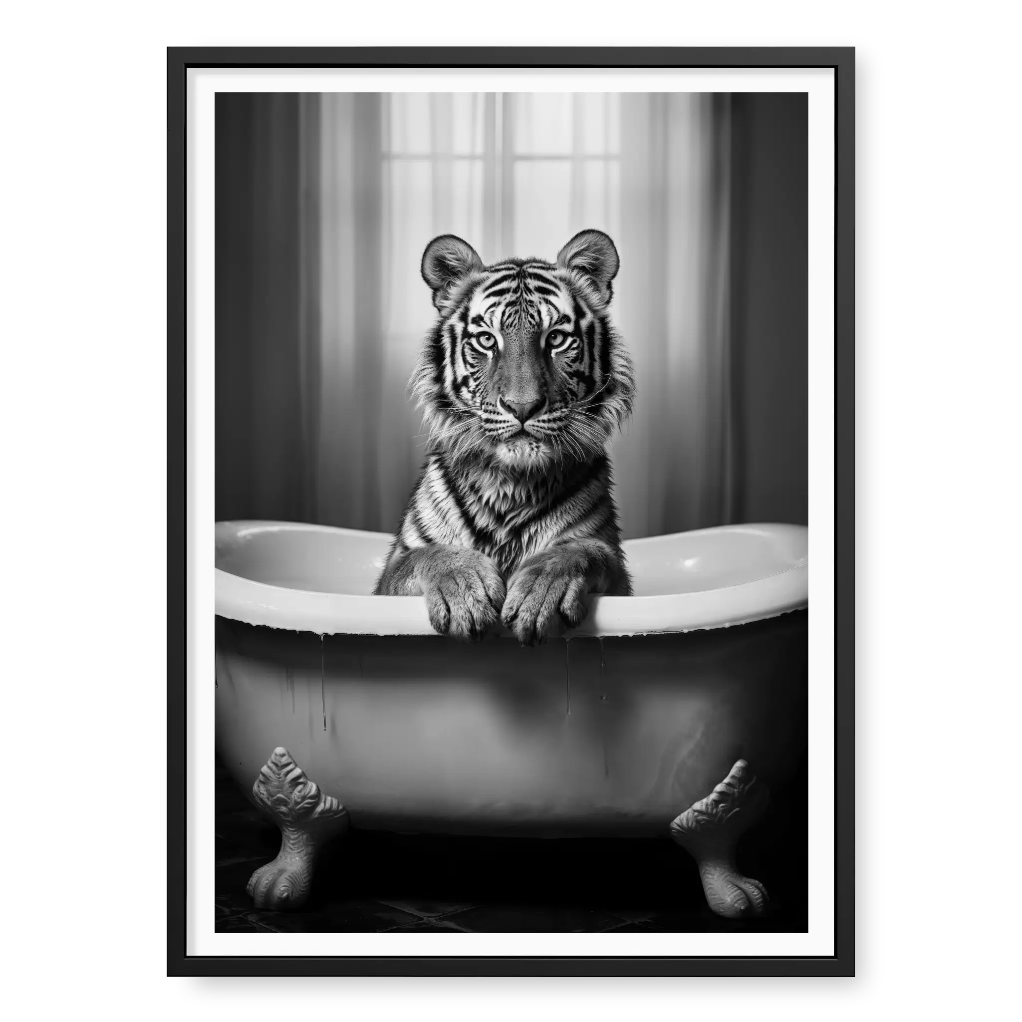 Tiger sitting in a vintage clawfoot bathtub with paws resting on the rim, black and white art print titled Bathtime in black frame