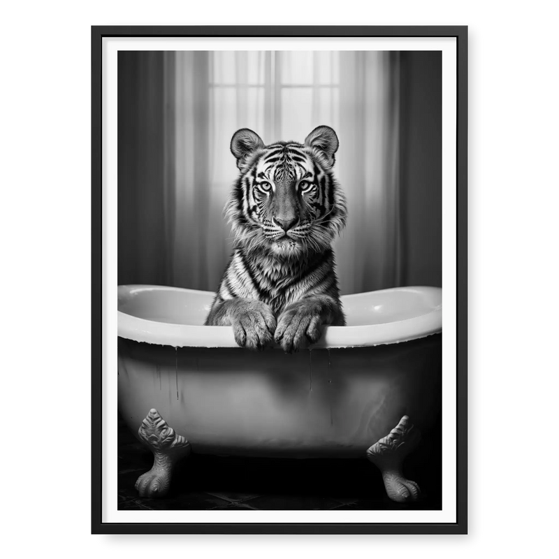 Tiger sitting in a vintage clawfoot bathtub with paws resting on the rim, black and white art print titled Bathtime in black frame