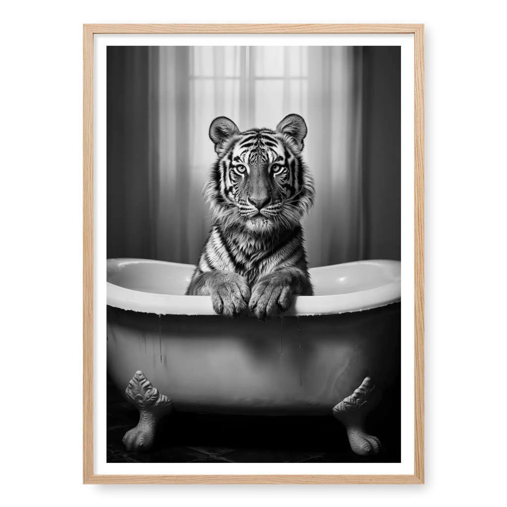 Tiger sitting in a vintage clawfoot bathtub with paws resting on the rim, black and white art print titled Bathtime in natural oak frame