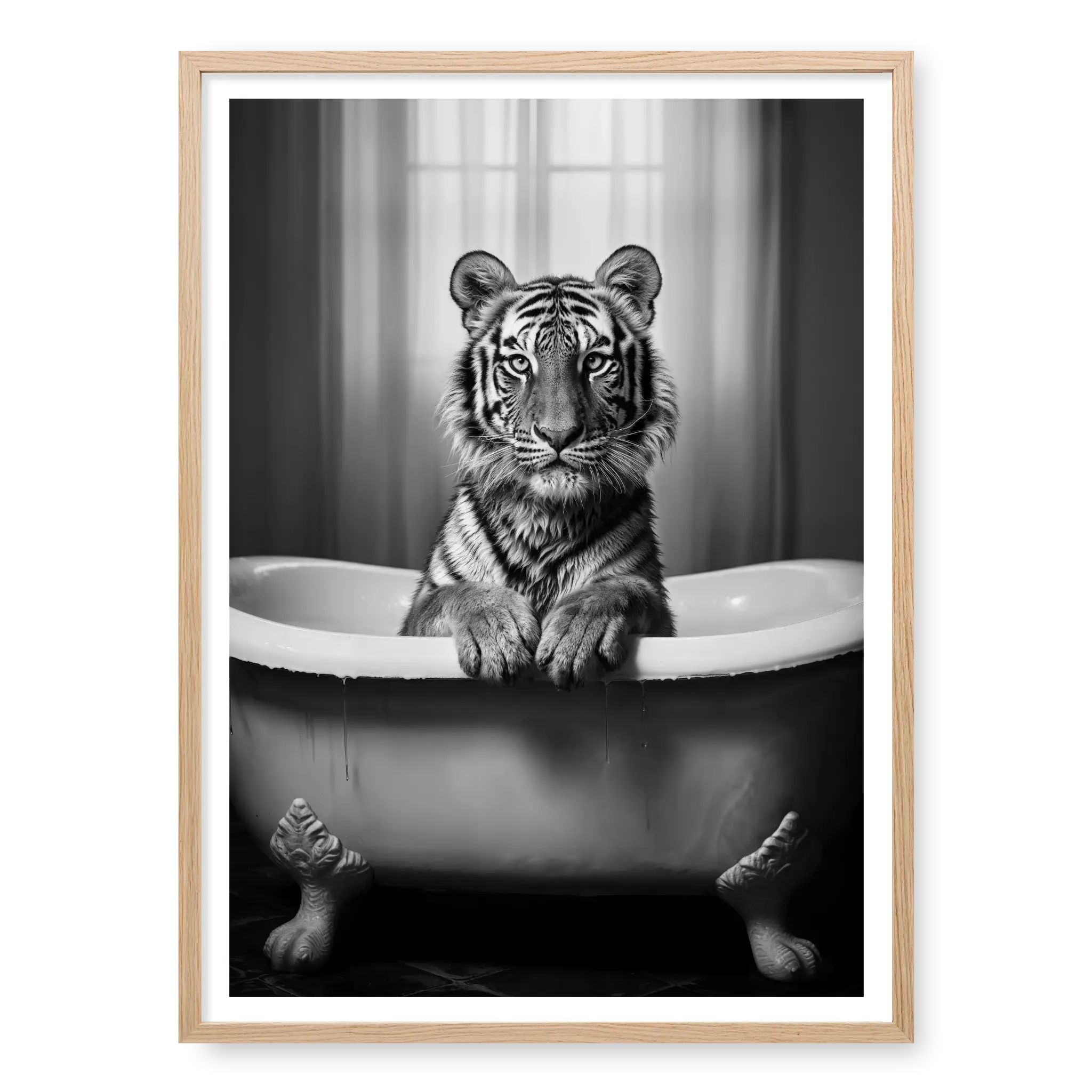 Tiger sitting in a vintage clawfoot bathtub with paws resting on the rim, black and white art print titled Bathtime in natural oak frame