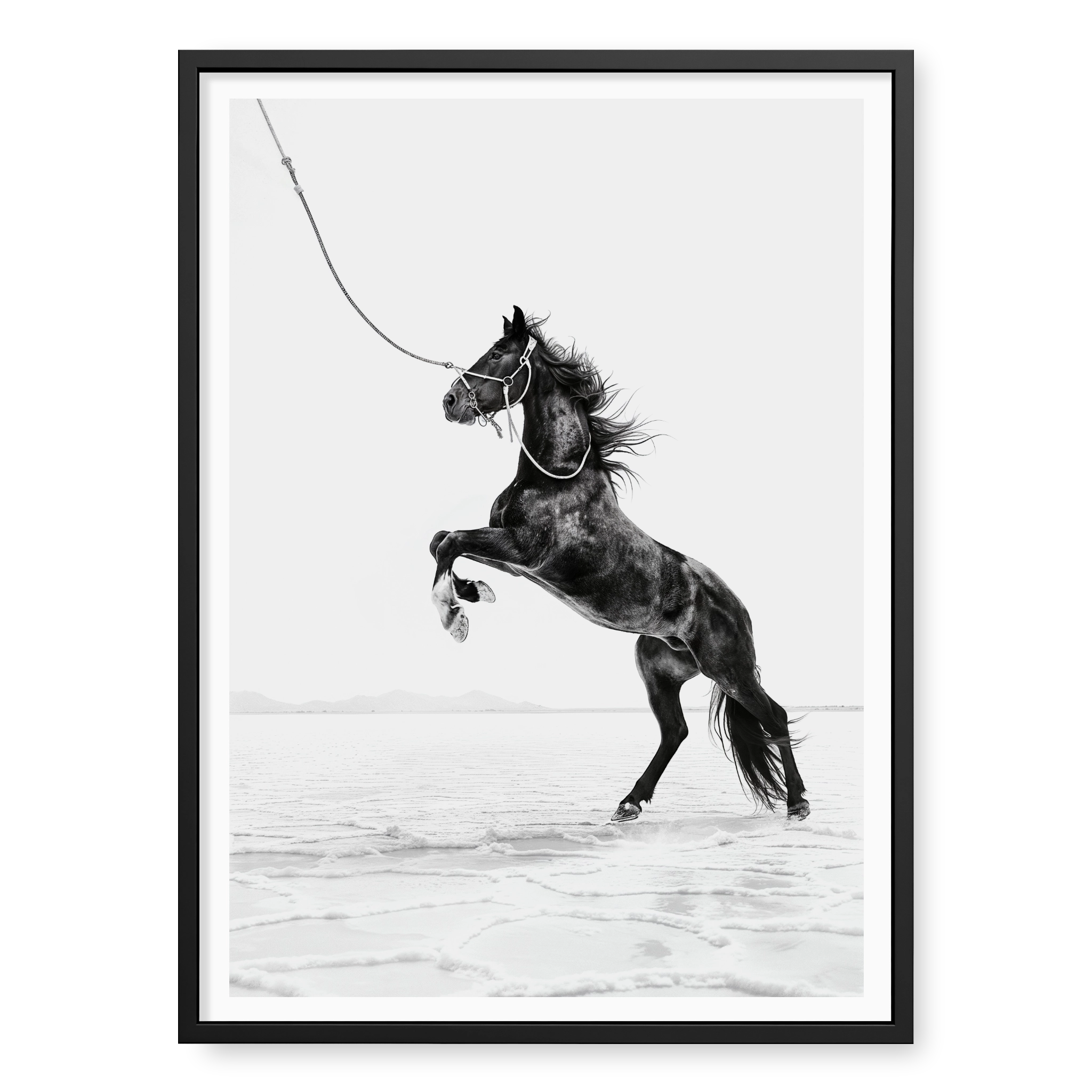 Dark horse rearing on hind legs held by a rope against white salt flats, black and white art print titled Born Wild in black frame
