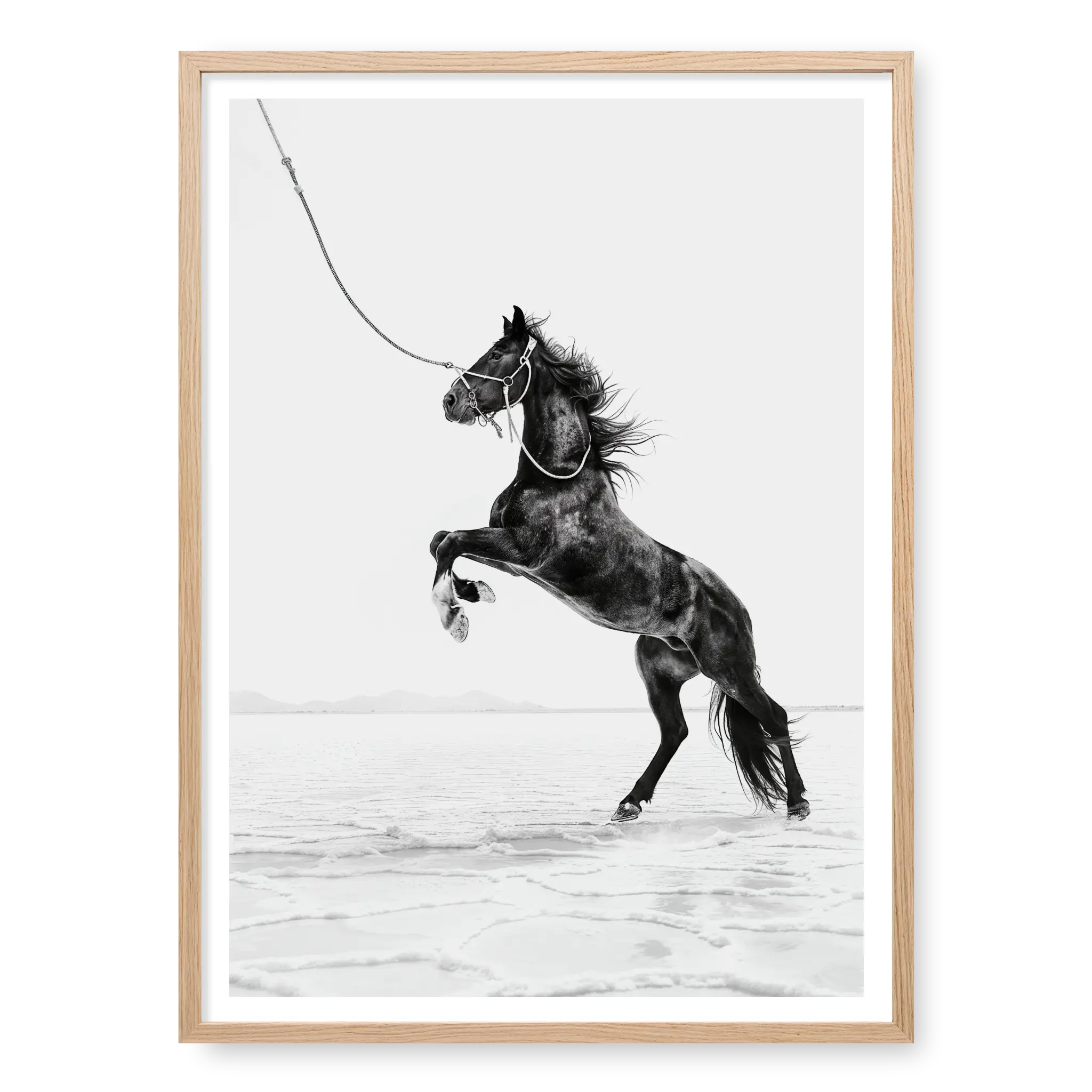 Dark horse rearing on hind legs held by a rope against white salt flats, black and white art print titled Born Wild in natural oak frame