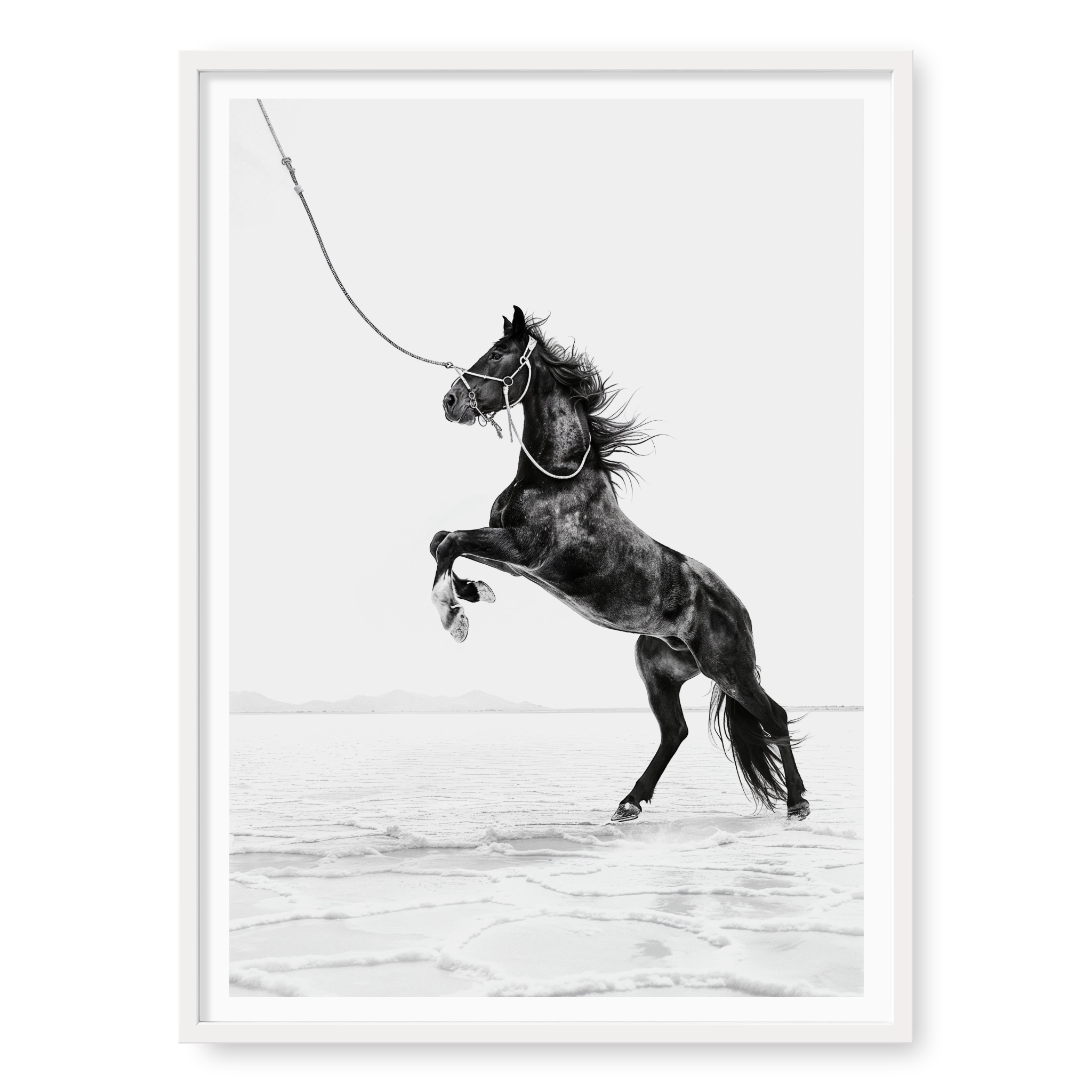Dark horse rearing on hind legs held by a rope against white salt flats, black and white art print titled Born Wild in white frame
