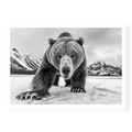 Grizzly bear walking towards camera in a snowy landscape with mountains, black and white art print titled Curiosity
