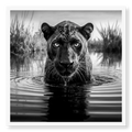 Close-up of a black panther sitting in water with visible spots and reflection, black and white art print titled Killmonger