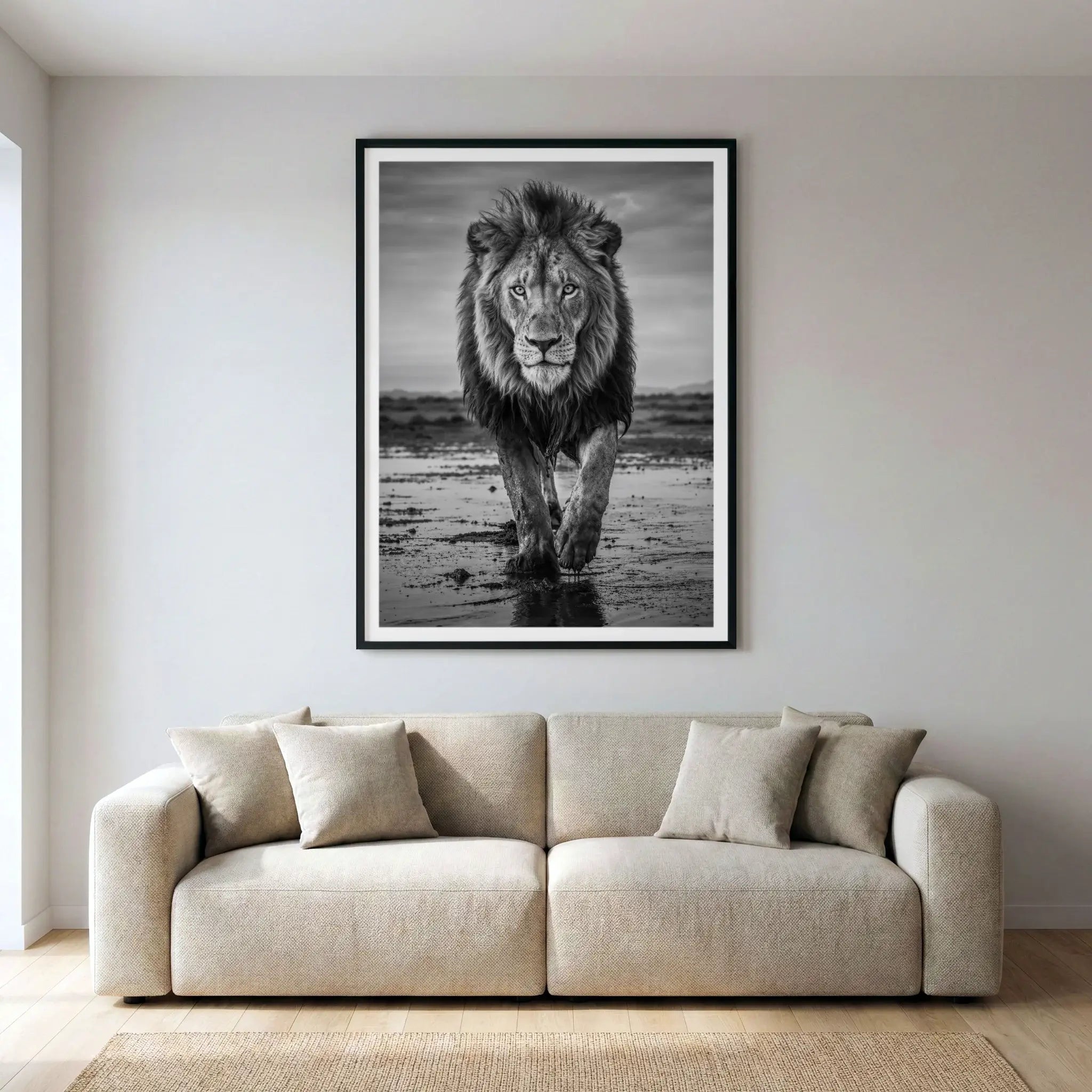 Framed black and white art print with lion walking on savannah, titled Pride displayed in living room