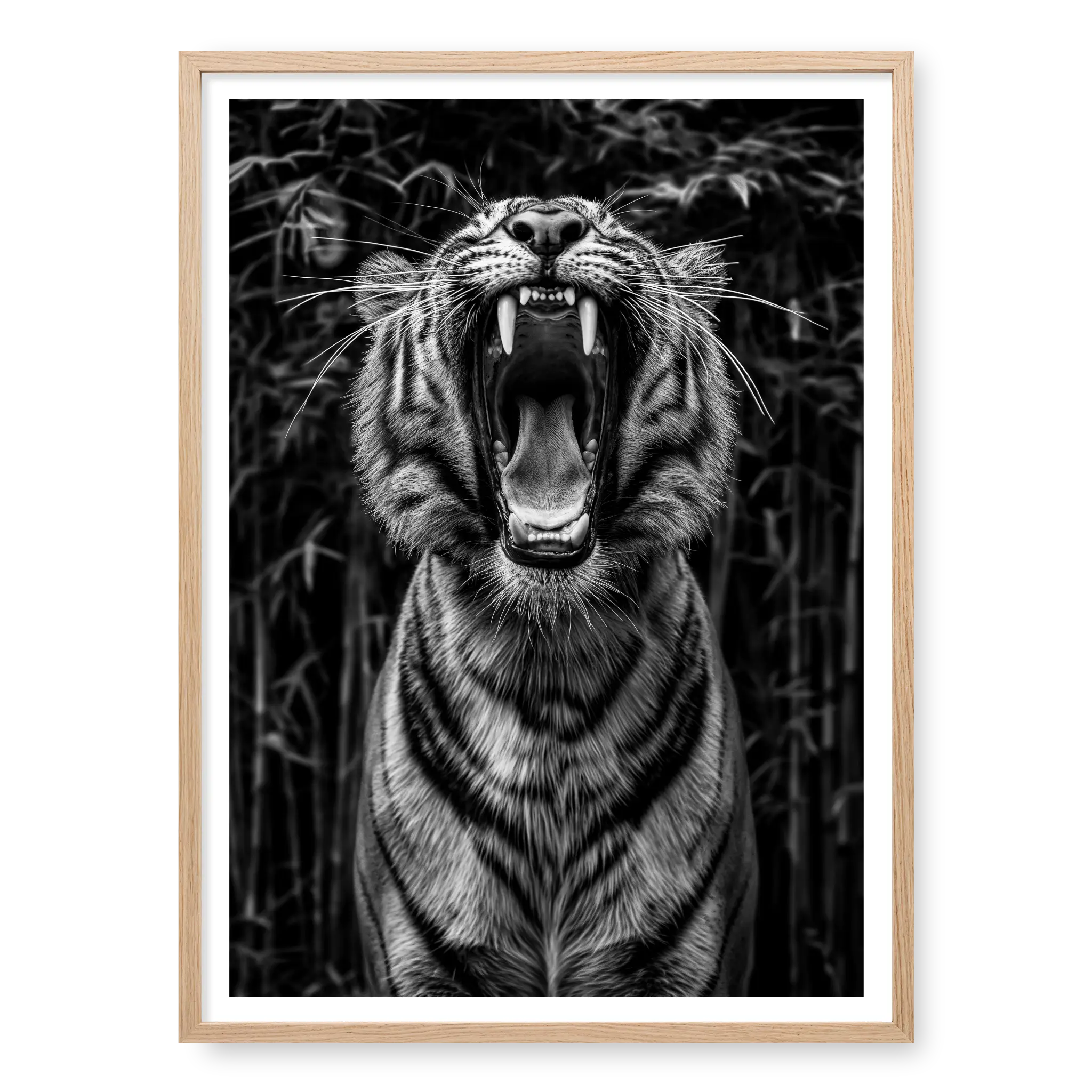 Low-angle portrait of a tiger roaring upwards with mouth wide open and teeth visible against a dark bamboo background, black and white art print titled Rawr in natural oak frame