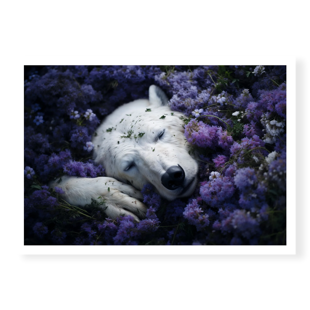 Close-up top-down view of a white polar bear sleeping nestled in a field of blooming purple flowers, art print titled Royalty