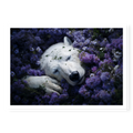 Close-up top-down view of a white polar bear sleeping nestled in a field of blooming purple flowers, art print titled Royalty