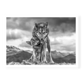 Low-angle full shot of two wolves standing on a rocky outcrop with mountains in the background, the larger wolf protecting the playful smaller one, black and white art print titled Safe