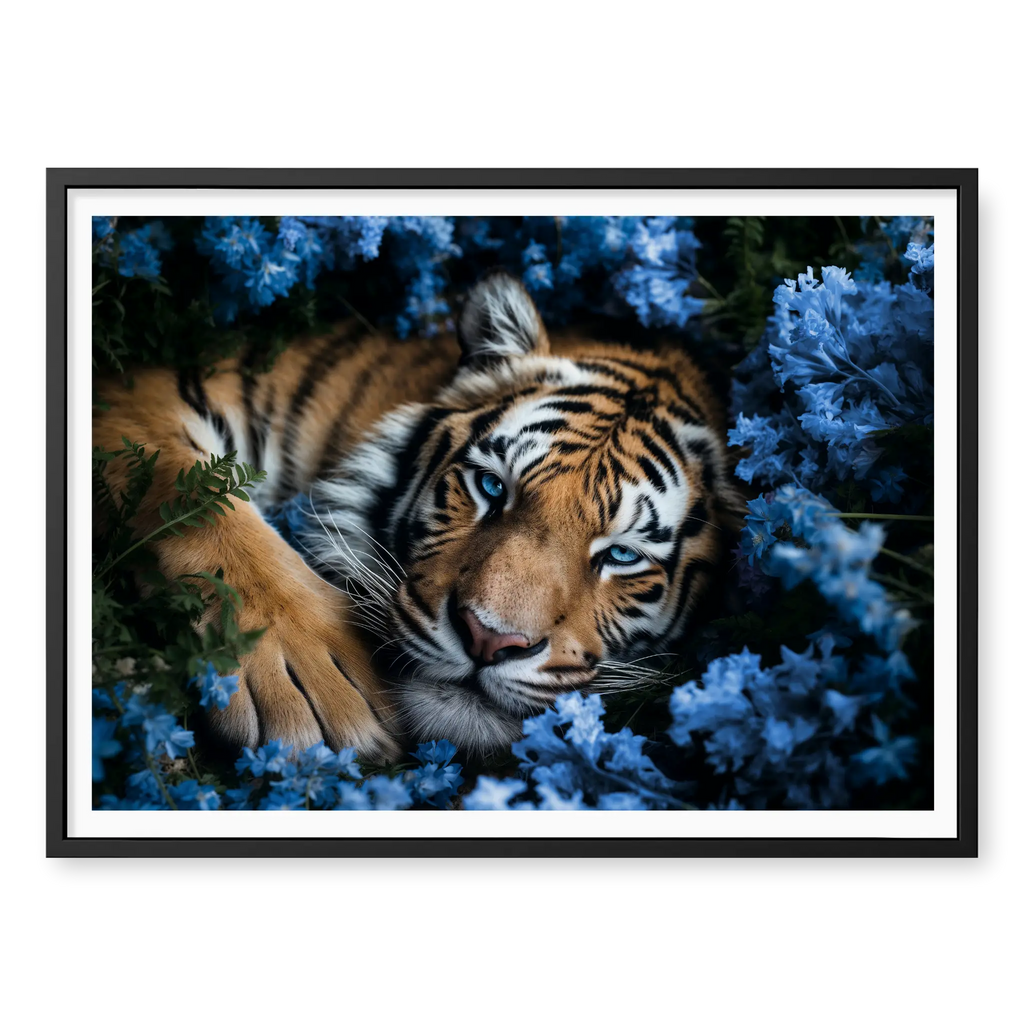 Close-up top-down view of a tiger with piercing blue eyes resting peacefully in a bed of blue flowers, art print titled Serenity in black frame