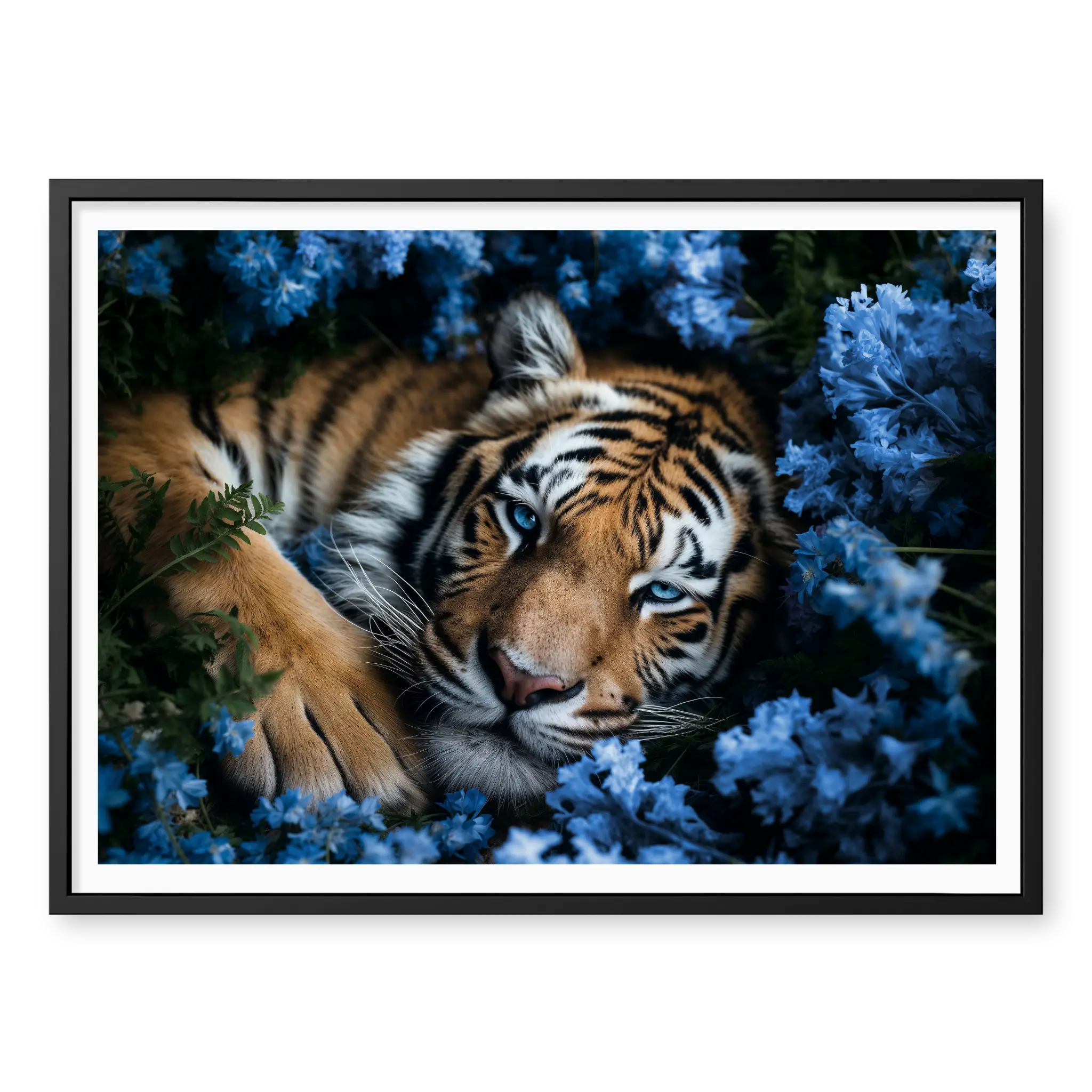 Close-up top-down view of a tiger with piercing blue eyes resting peacefully in a bed of blue flowers, art print titled Serenity in black frame