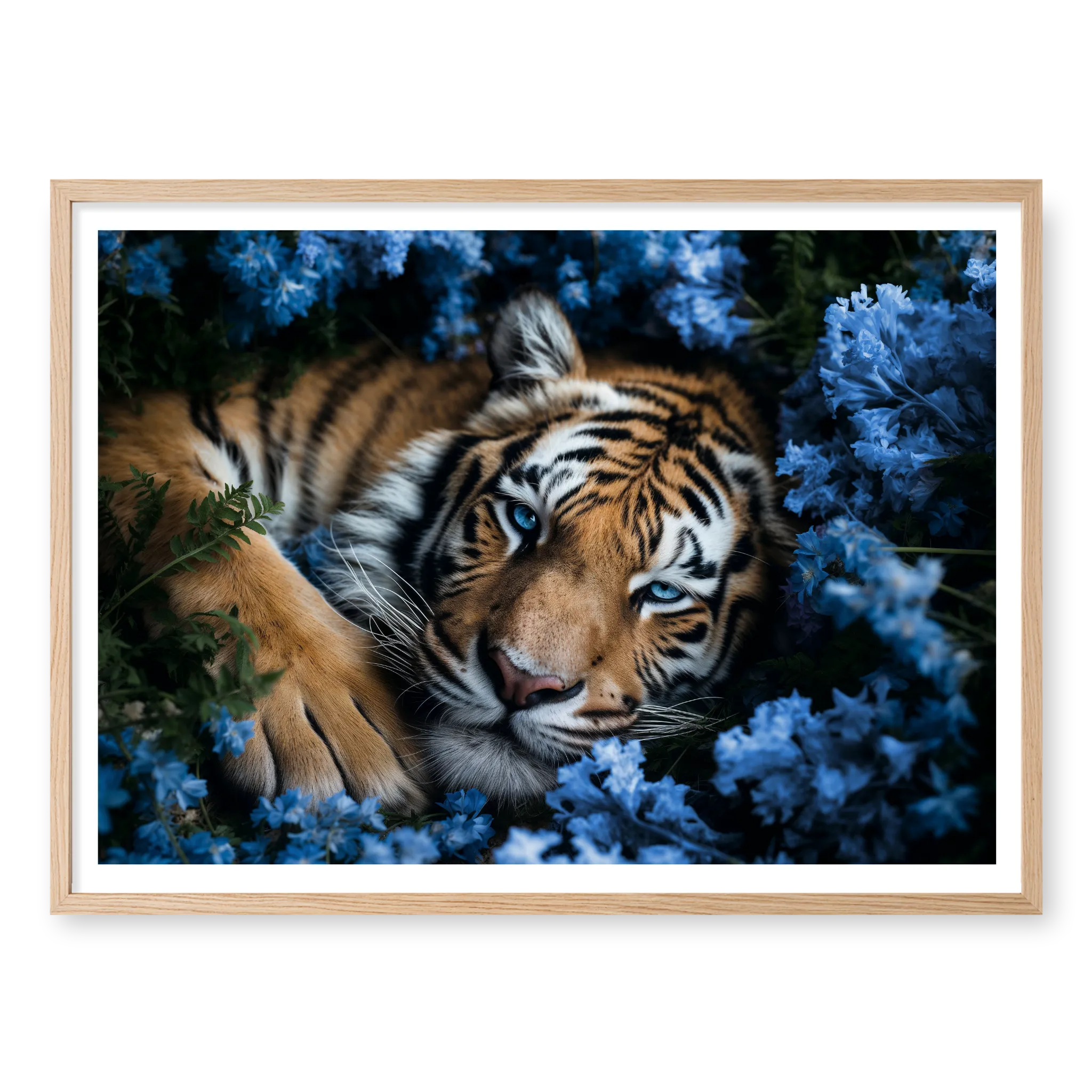 Close-up top-down view of a tiger with piercing blue eyes resting peacefully in a bed of blue flowers, art print titled Serenity in natural oak frame