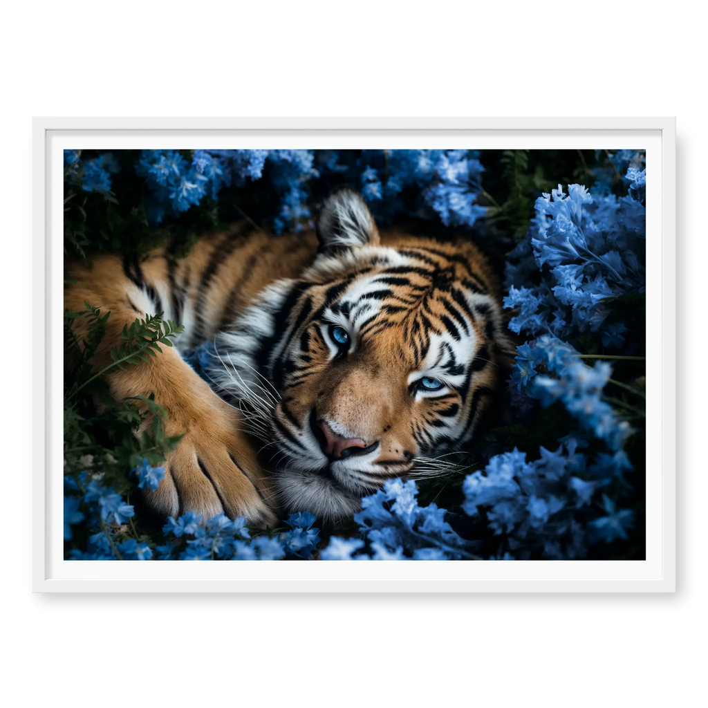 Close-up top-down view of a tiger with piercing blue eyes resting peacefully in a bed of blue flowers, art print titled Serenity in white frame