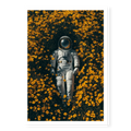 Top-down view of an astronaut in a white space suit lying on their back surrounded by a dense field of yellow flowers, art print titled Summer of 69