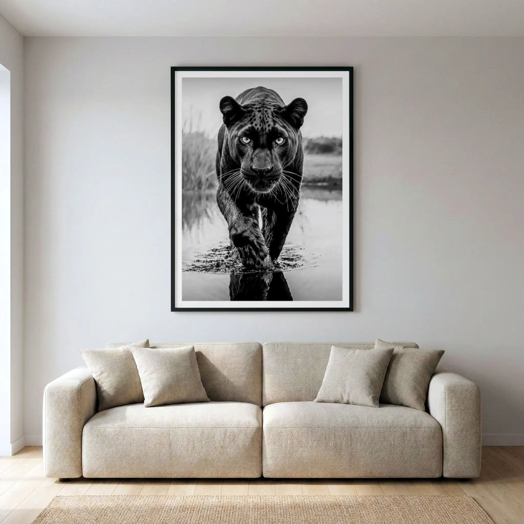 Framed black and white wildlife art print with stalking panther, titled T'Challa displayed in living room