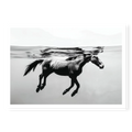Side profile view of a horse swimming completely submerged underwater with reflection on the surface, black and white art print titled Ukiyo