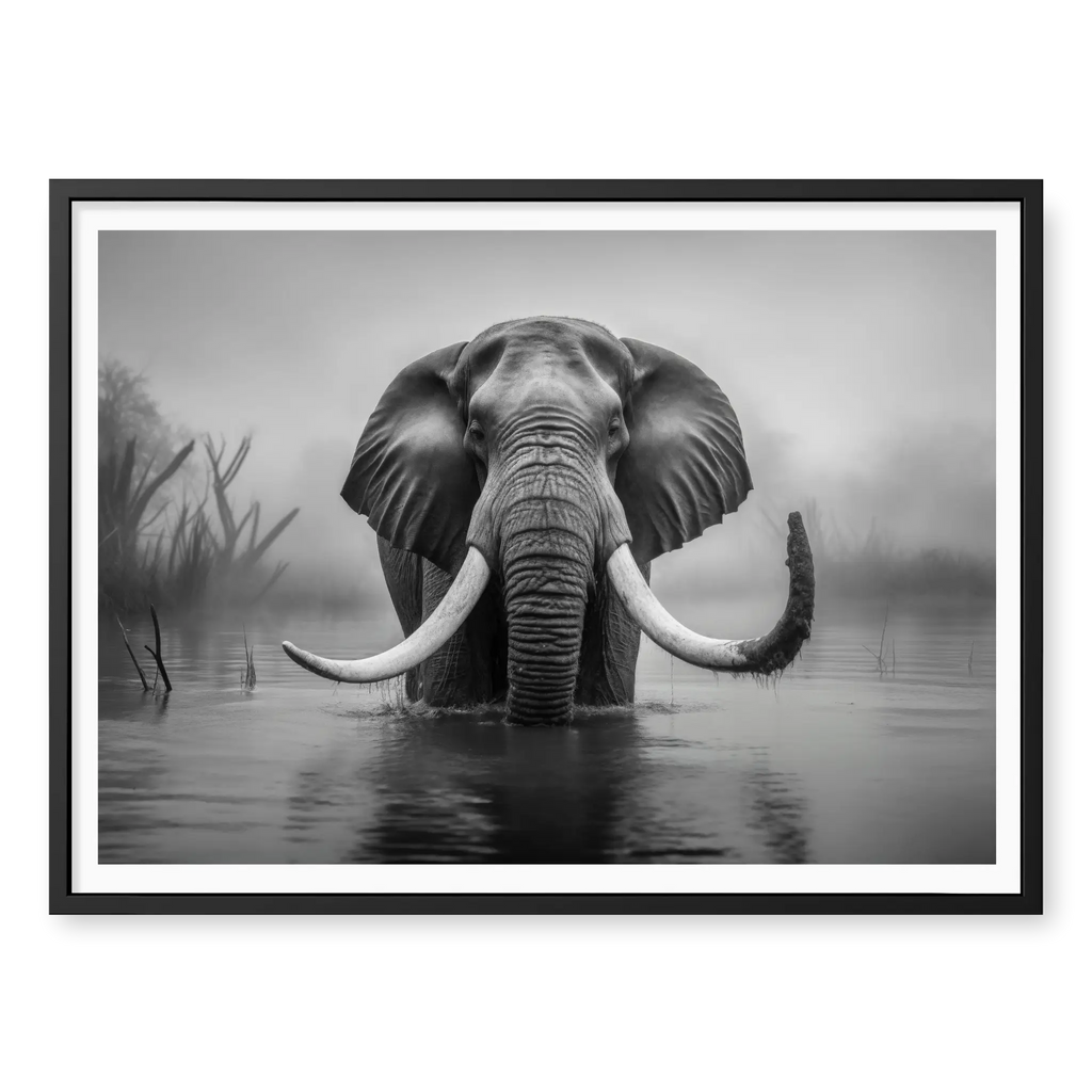 Front-facing full shot of a large bull elephant with massive tusks wading through a calm river in the mist, black and white art print titled Wanderer in black frame